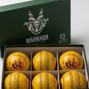 Yellow Training Cricket Balls – Box of 6